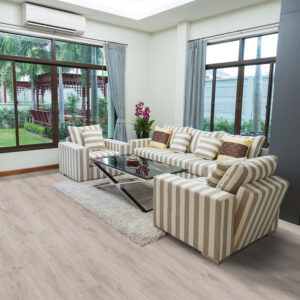 Macadamia #6036