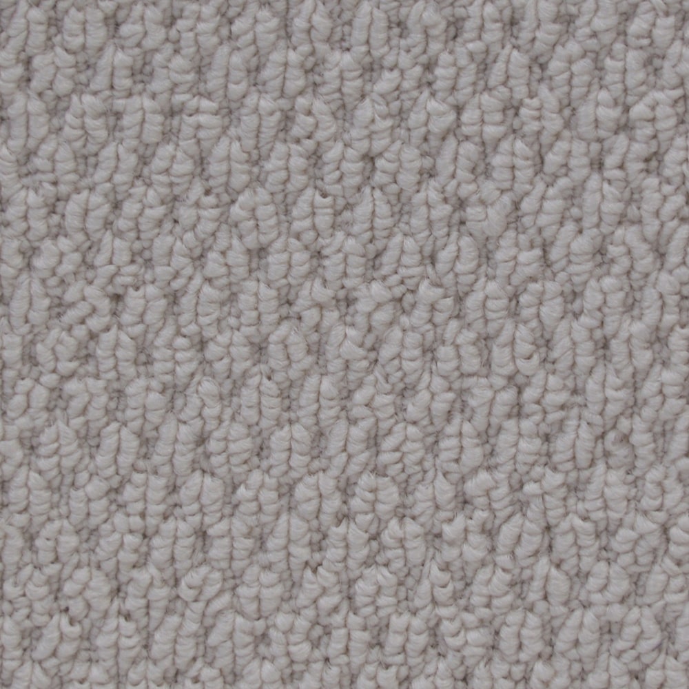 6436_CupidoII_14232_POLAR BEAR-min 6436 CupidoII 14232 POLAR BEAR min