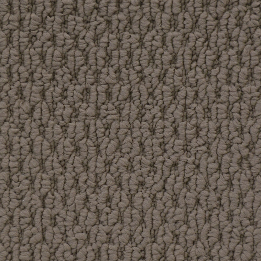 6436_CupidoII_16970_SAND-min 6436 CupidoII 16970 SAND min