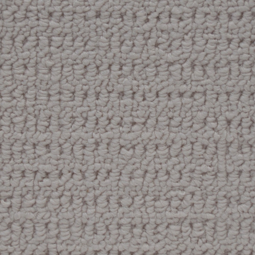 6438_Fleury_14232_POLAR BEAR-min 6438 Fleury 14232 POLAR BEAR min