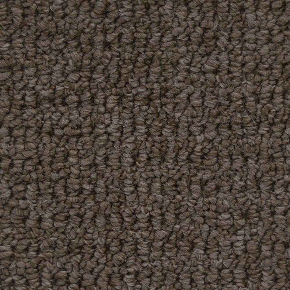 6438_Fleury_73748_BISTRE BROWN-min 6438 Fleury 73748 BISTRE BROWN min