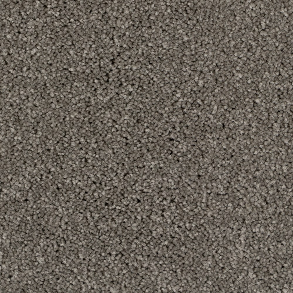 A4525_Minotaur_88664_MORNING LIGHT-min A4525 Minotaur 88664 MORNING LIGHT min