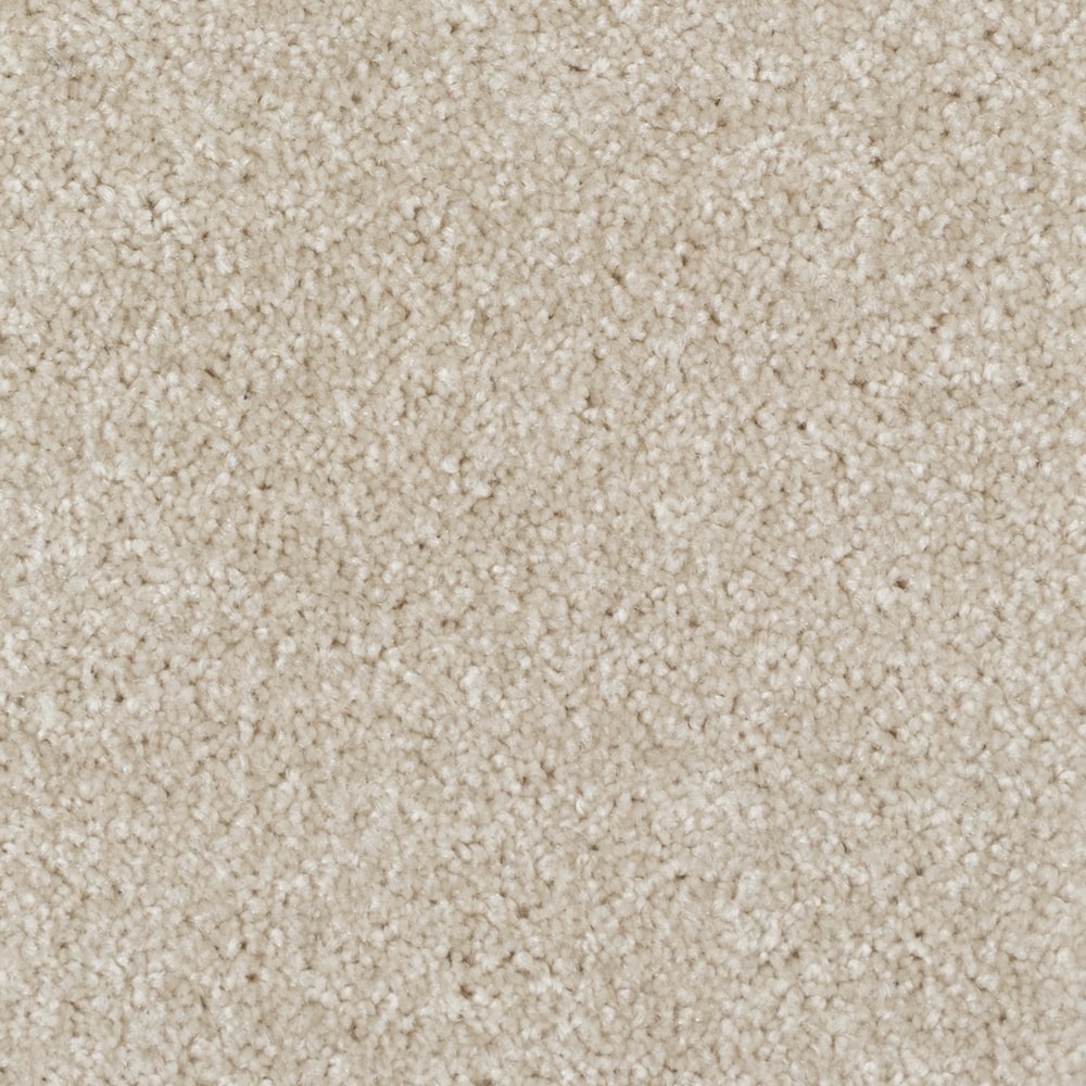 A4531_Spartacus_84558_BEACH SHELL-min A4531 Spartacus 84558 BEACH SHELL min