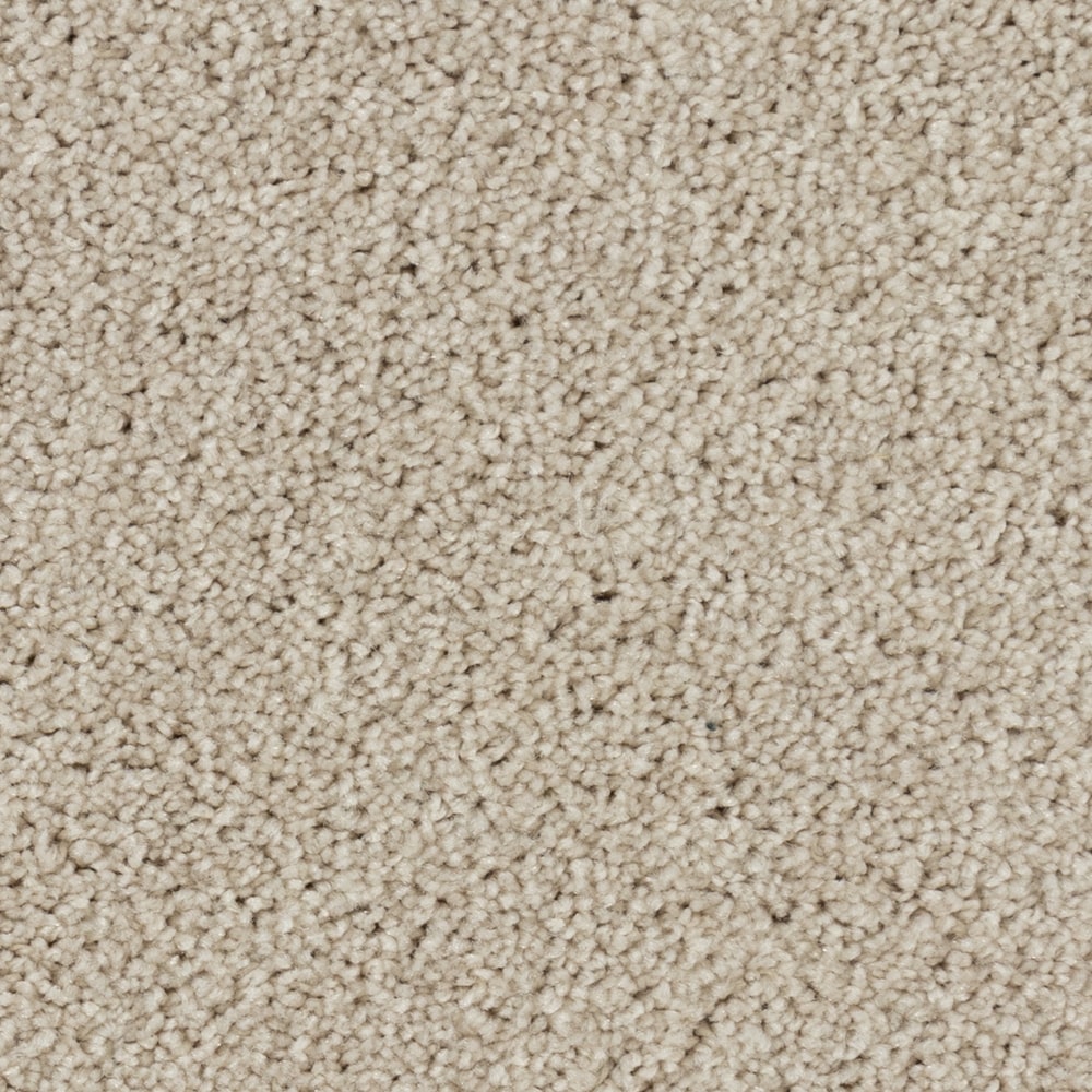 A4791 AbbeyRoad 19513 PALE FACE min