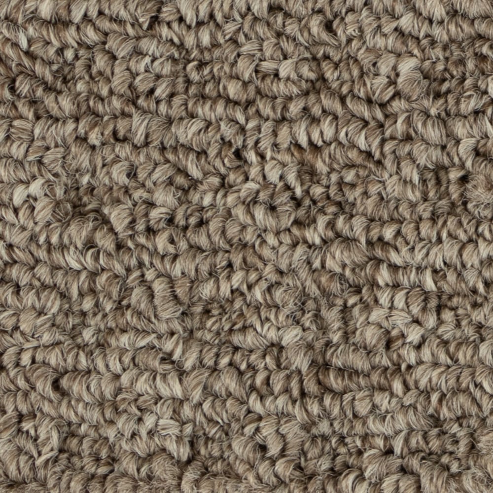 A6720 BoloriaII 73748 BISTRE BROWN min