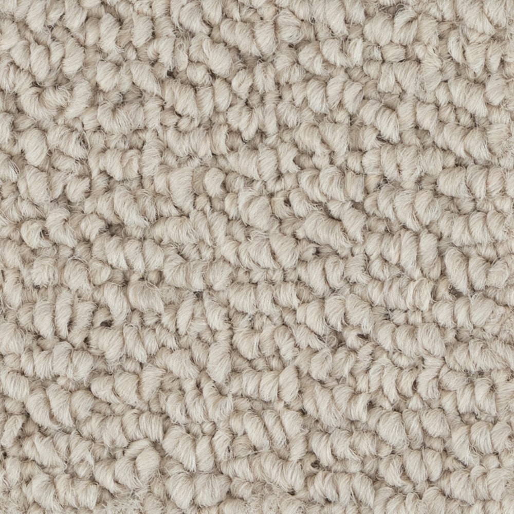 A6740 PapilioII 13238 DEMOCRACY min