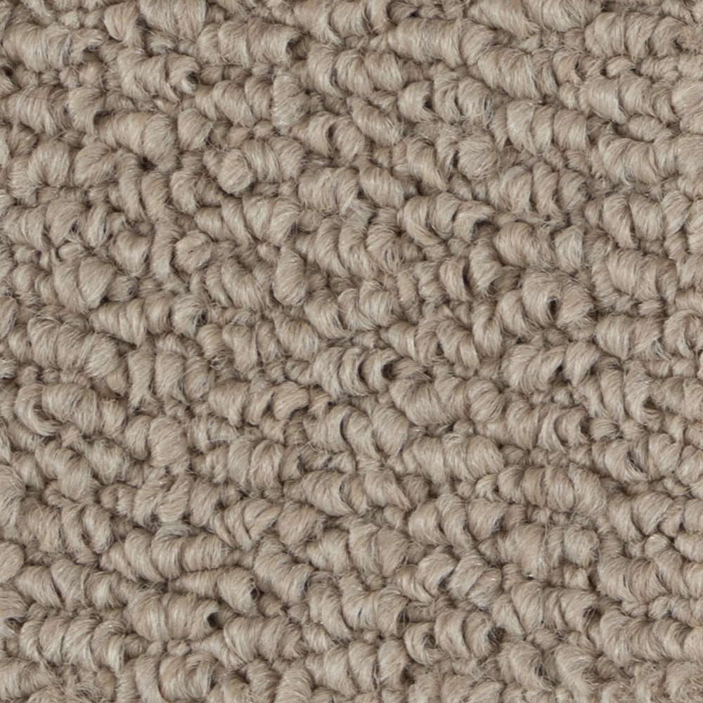 A6740 PapilioII 16319 SHAMMY min