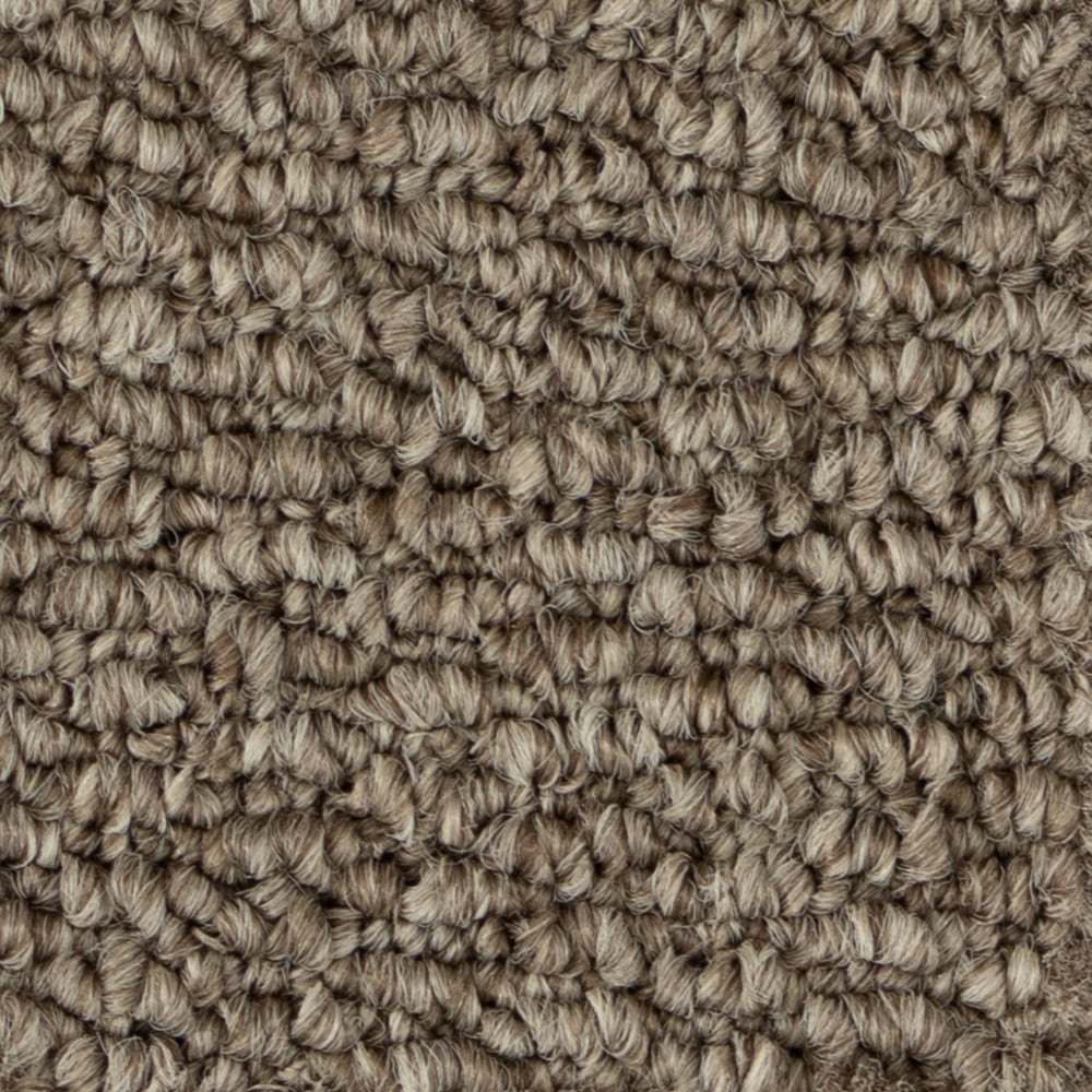 A6740 PapilioII 73748 BSITRE BROWN min