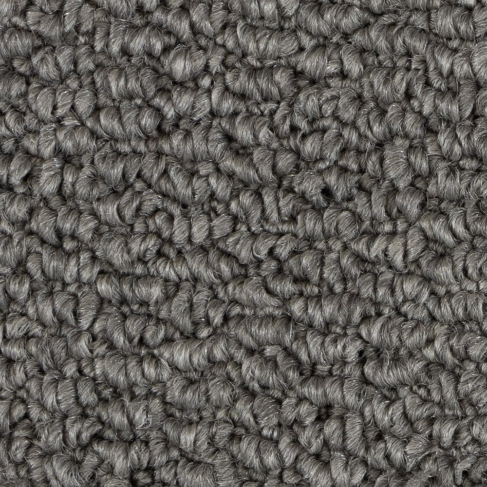 A6740 PapilioII 89832 NORTH AMERICAN GREY min