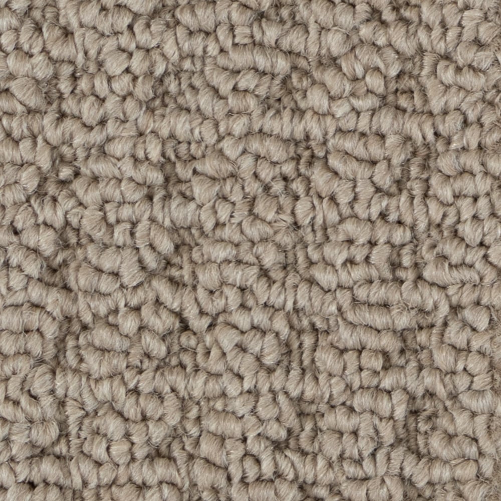 A6761_SultanaII_16319_SHAMMY-min A6761 SultanaII 16319 SHAMMY min