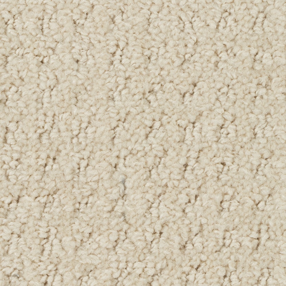 A8150 CostaConcordiaII 19017 MALT min