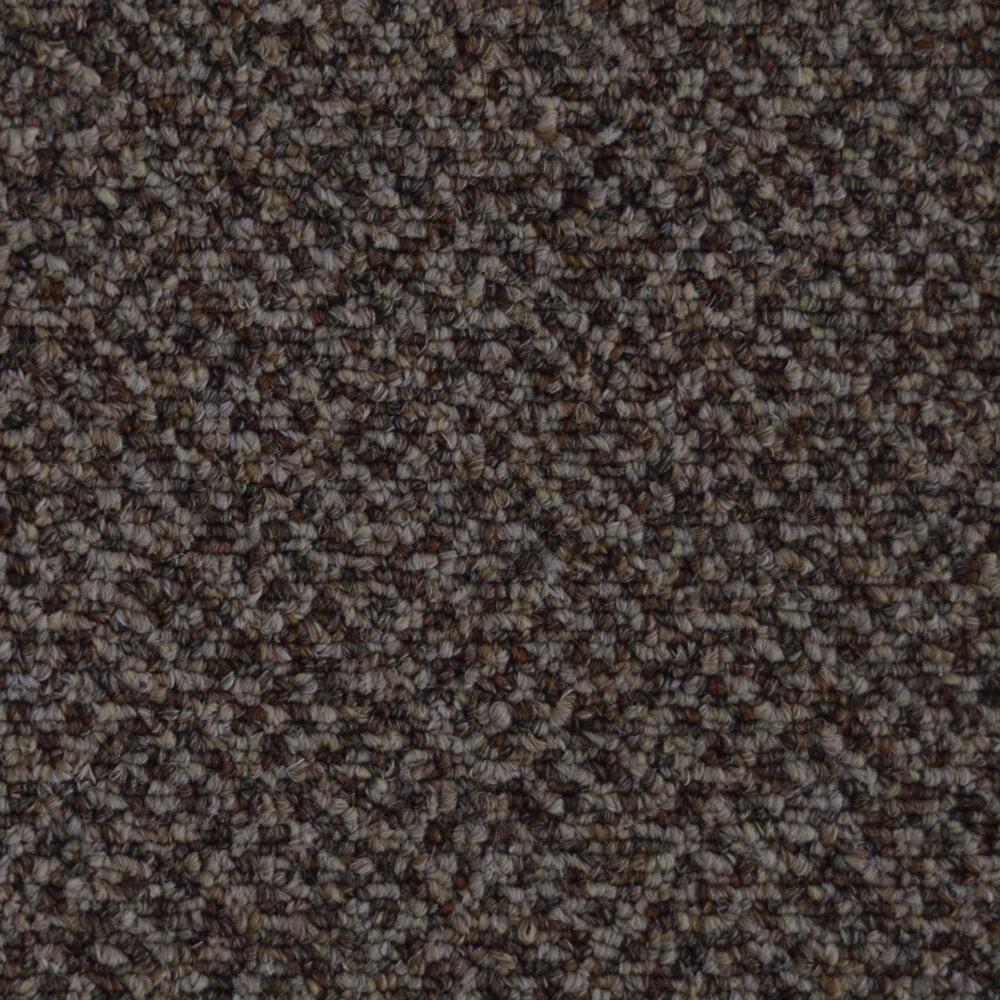 J7359_NetworkIII20_76792_COCOA-min J7359 NetworkIII20 76792 COCOA min