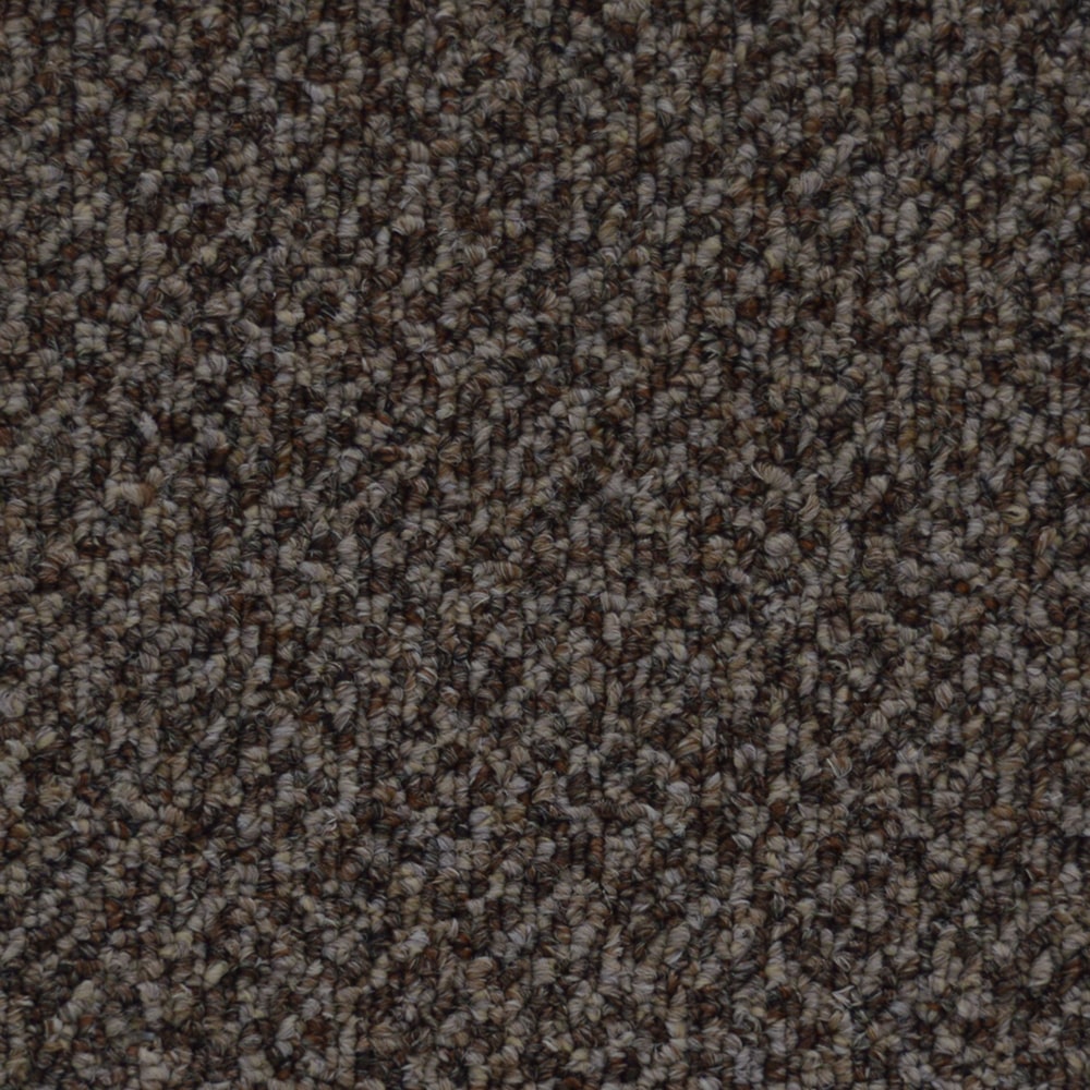 J7371 NetworkIII28 76792 COCOA min