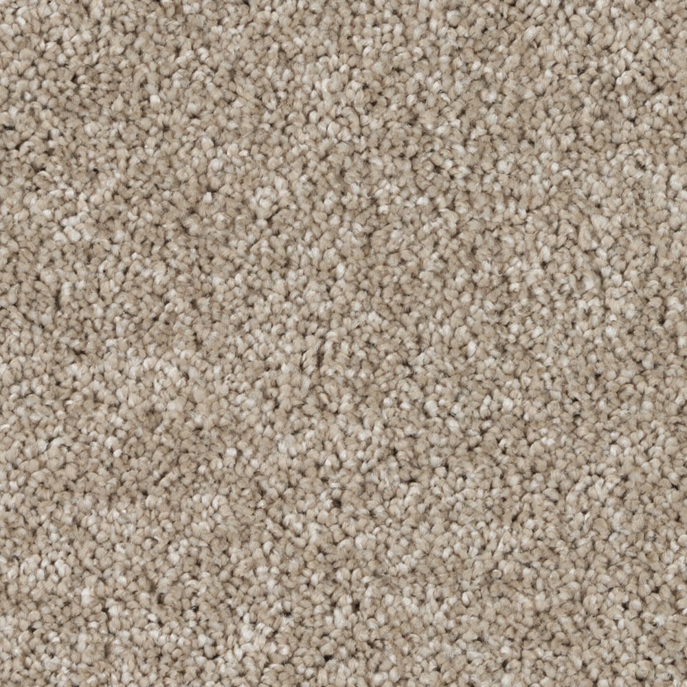 A4781_SilkySplendor_19204_MANILA SAND-min A4781 SilkySplendor 19204 MANILA SAND min