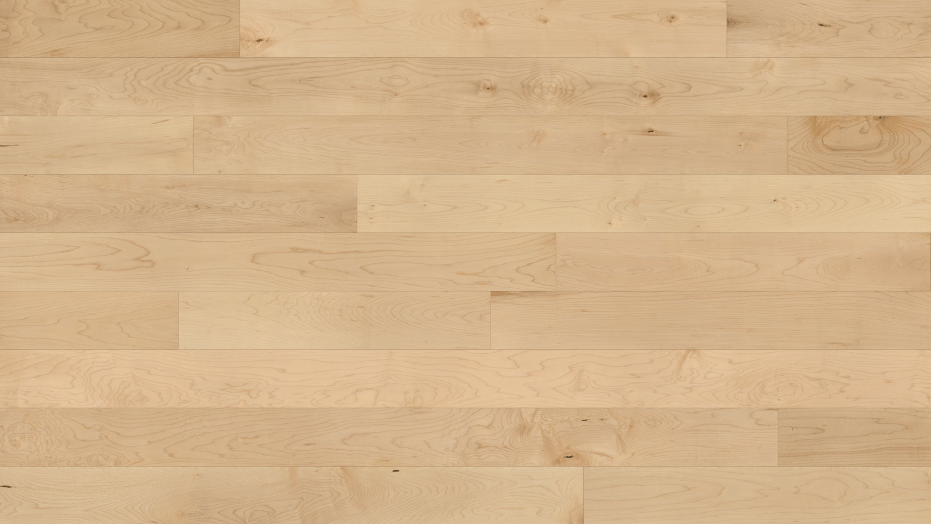 MAPLE Erable nuance satin clair grande surface