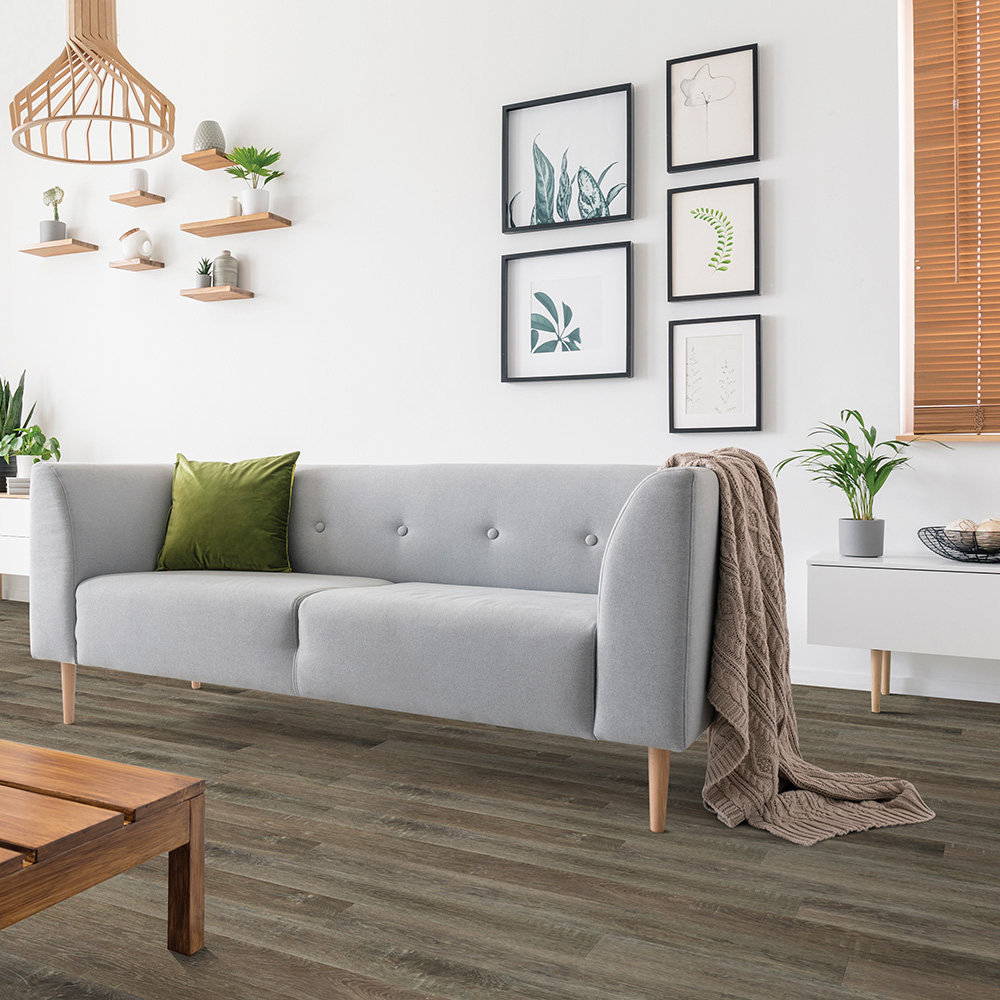 RS-Beaulieu-2184_0 RS Beaulieu 2184 0