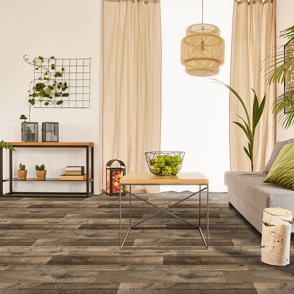 Flat with plants and couch RS Beaulieu OMP01 U0081 0