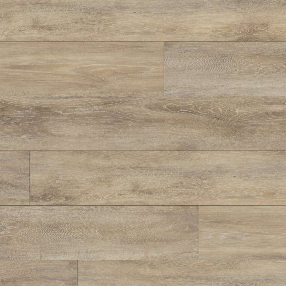 Thumb_Hires--10 Thumb Hires 10