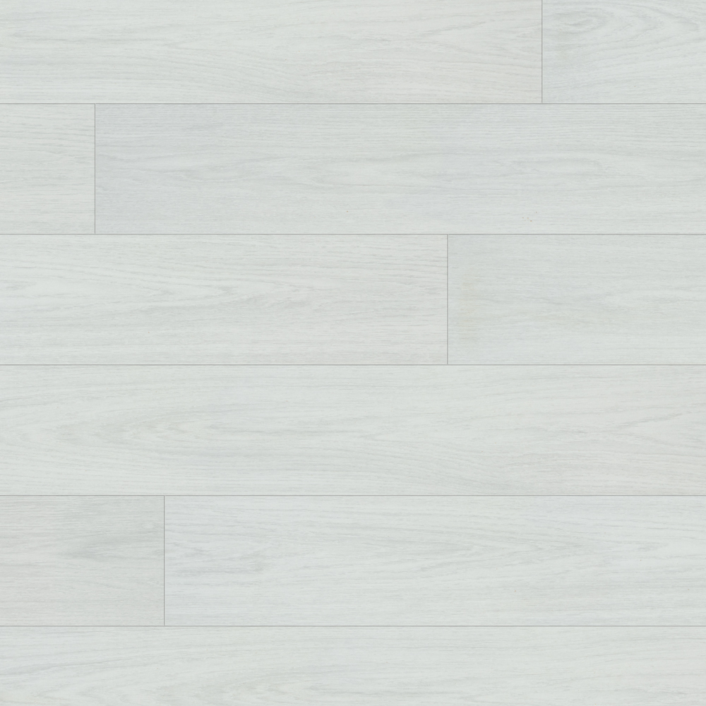 Thumb_Hires-1433 Thumb Hires 1433