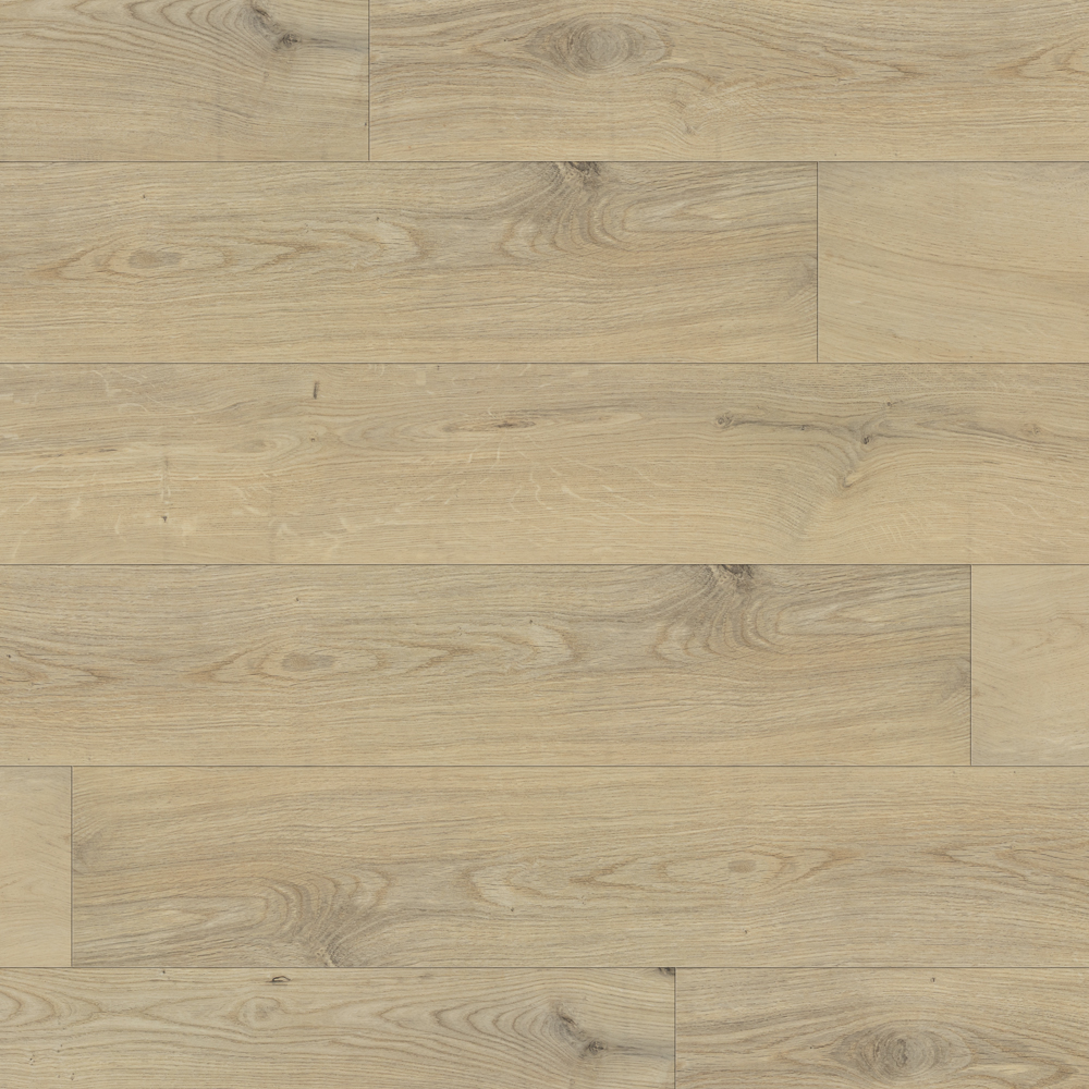 Thumb_Hires-1440 Thumb Hires 1440