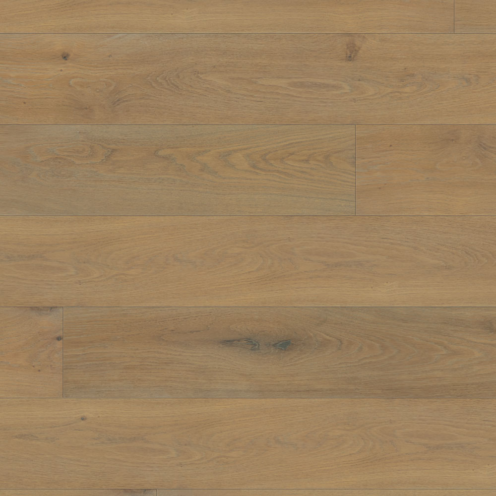 Thumb_Hires-1866 Thumb Hires 1866