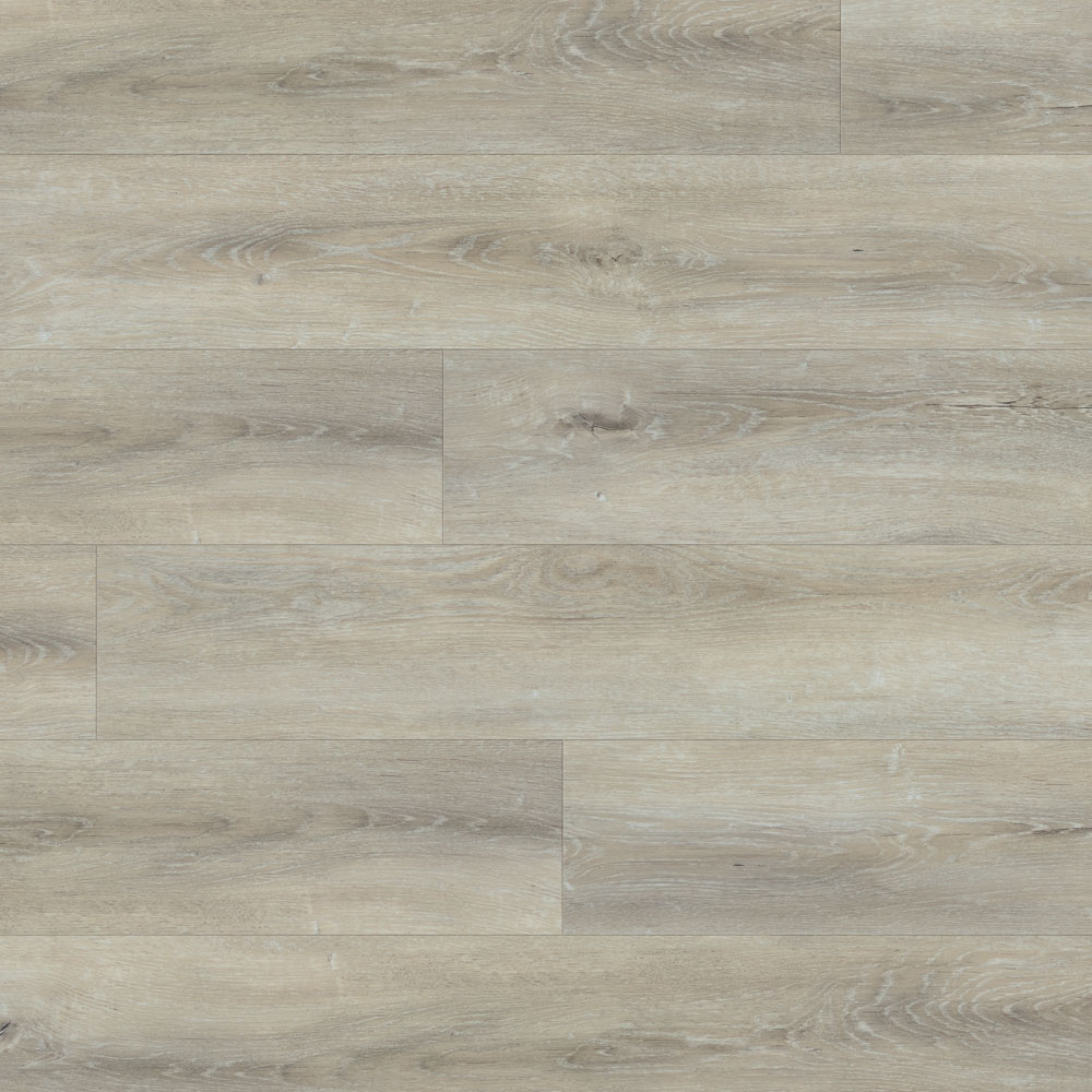 Thumb_Hires-2339 Thumb Hires 2339