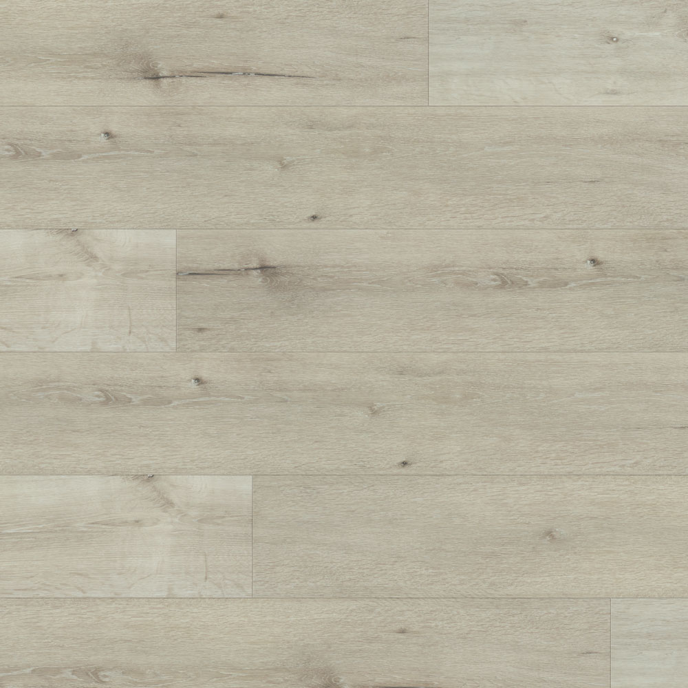 Thumb_Hires-2340 Thumb Hires 2340