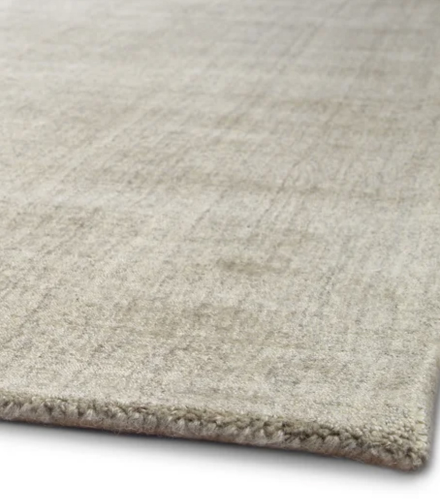 faye-fossil faye fossil